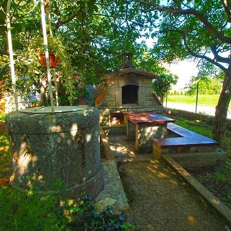 Apartment Sanja Near The Sea, Spacious And Green :) بولا المظهر الخارجي الصورة