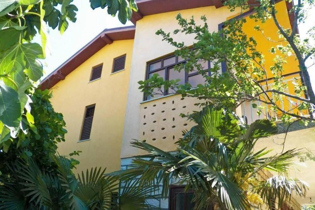 Apartment Sanja Near The Sea, Spacious And Green :) بولا المظهر الخارجي الصورة